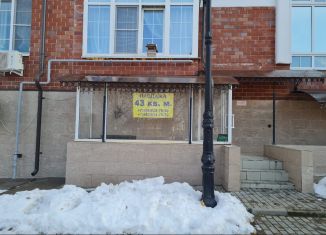 Продажа помещения свободного назначения, 43 м2, деревня Суханово, Парковая улица, 3