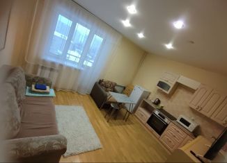Квартира в аренду студия, 30 м2, Владимирская область, Северная улица, 55