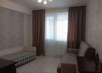 1-комнатная квартира в аренду, 30 м2, Санкт-Петербург, проспект Героев, 18, ЖК Ленинский Парк