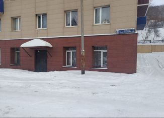 Продажа помещения свободного назначения, 56 м2, Петропавловск-Камчатский, Партизанская улица, 56