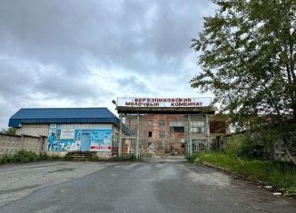 Продам помещение свободного назначения, 1875 м2, Березники, улица Металлистов, 10