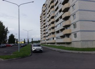 Квартира на продажу студия, 27 м2, Отрадное, улица Дружбы, 3