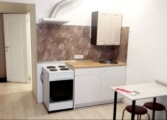 Продается квартира студия, 21.4 м2, Кудрово, ЖК Вернисаж, Пражская улица, 15