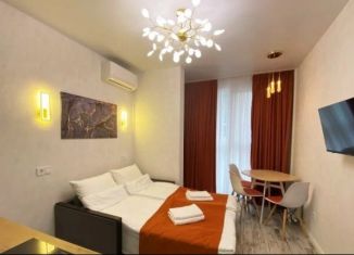 Продам квартиру студию, 20.7 м2, Сочи, улица Пирогова, 26Б, микрорайон Новый Сочи