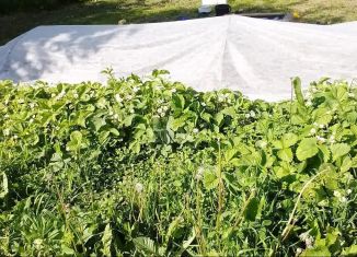 Продам земельный участок, 10 сот., деревня Шики