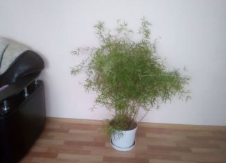 Продаю дом, 59.1 м2, село Мокроусово, улица Юдина, 12