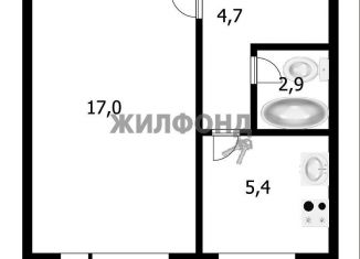 Продажа 1-комнатной квартиры, 30.1 м2, Новосибирск, улица Петухова, метро Площадь Маркса