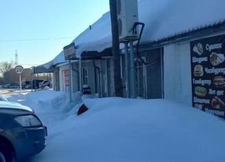 Сдача в аренду помещения свободного назначения, 230 м2, Курганская область, улица Рукманиса, 14