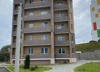 Продам 1-комнатную квартиру, 35 м2, деревня Киселёвка, Никольская улица, 8