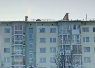 Продается двухкомнатная квартира, 61 м2, поселок Ясногорский, Центральная улица, 25