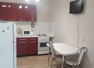 Сдается квартира студия, 29 м2, Пермь, ЖК Арсенал, улица Василия Татищева, 6