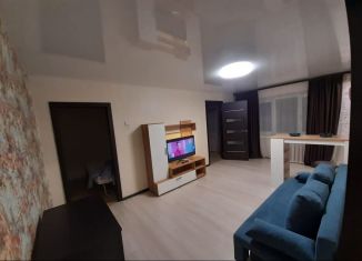 Аренда 2-комнатной квартиры, 44 м2, Нижегородская область, проспект Чкалова