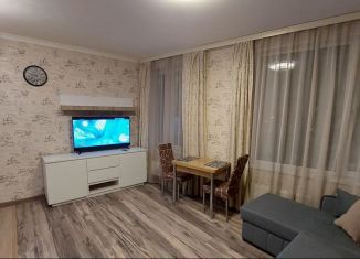 Квартира в аренду студия, 26 м2, Красногорск, улица Липовой Рощи, 1к1