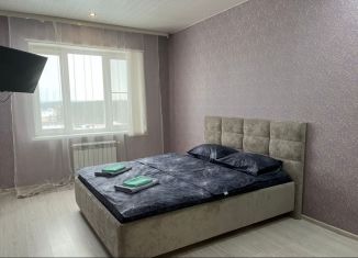 Аренда 1-комнатной квартиры, 42 м2, Пензенская область, улица Антонова, 30