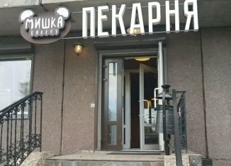 Продажа торговой площади, 72.7 м2, Мурино, улица Шоссе в Лаврики, 59к1