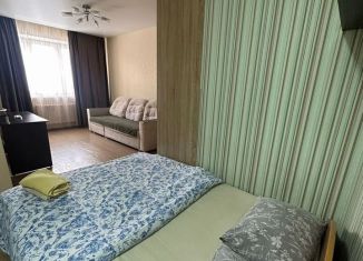 Аренда квартиры студии, 40 м2, Омск, улица Куйбышева, 113А