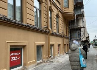 Сдача в аренду торговой площади, 222 м2, Санкт-Петербург, улица Чайковского, 61, метро Чернышевская