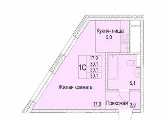 Продаю квартиру студию, 30.1 м2, Московская область