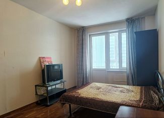 Сдается квартира студия, 30 м2, Красноярск, улица Карамзина, 14