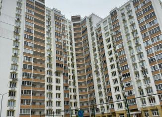 Продается 1-комнатная квартира, 37.8 м2, Дзержинский, улица Доркина, 6