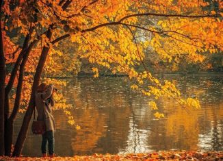 Продается земельный участок, 10 сот., село Пелево, Советская улица