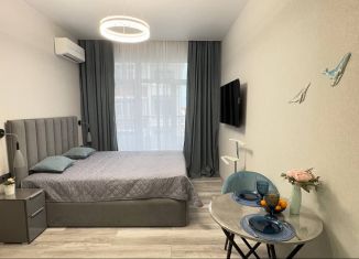 Сдам в аренду квартиру студию, 21 м2, Сочи, улица Ленина, 290/7к2