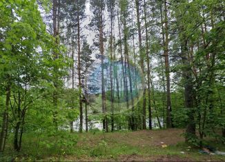 Продам земельный участок, 93 сот., деревня Жостово