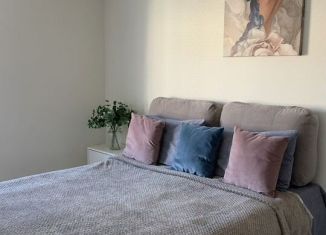 Продается однокомнатная квартира, 29.6 м2, село Черешня, Подольская улица, 166/4