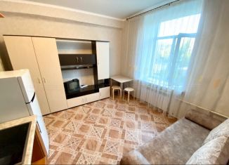 Сдается в аренду 1-ком. квартира, 20 м2, Казань, улица Фурманова, 27, Московский район