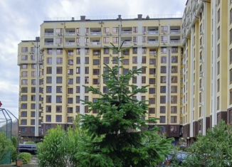 Продается 1-ком. квартира, 29.1 м2, посёлок городского типа Дагомыс, Армавирская улица, 20А