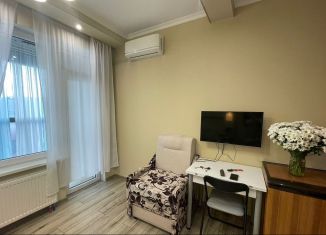 Сдается квартира студия, 24 м2, Москва, Варшавское шоссе