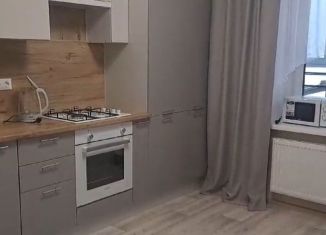 Сдам в аренду однокомнатную квартиру, 46 м2, село Айша, жилой комплекс Зелёная Долина, 3