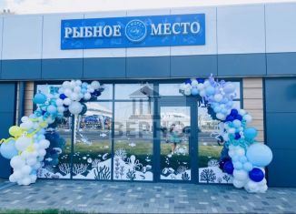 Сдаю помещение свободного назначения, 47 м2, Краснодар, улица имени М.Е. Соколова, 19, микрорайон Горхутор