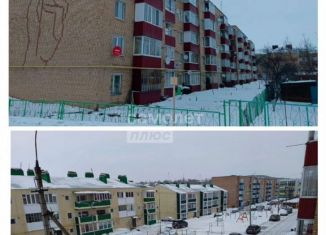 Продаю 3-комнатную квартиру, 53.7 м2, Мамадыш, улица Давыдова, 42