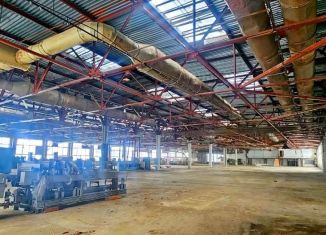 Сдается в аренду производство, 13000 м2, Пензенская область, Заводская улица, 9