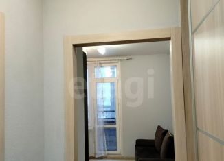 Продаю квартиру студию, 19.1 м2, деревня Дударева, улица Сергея Джанбровского, 1