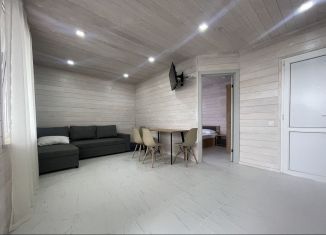 Сдача в аренду 1-ком. квартиры, 40 м2, село Черешня, Гомельский переулок, 8Г