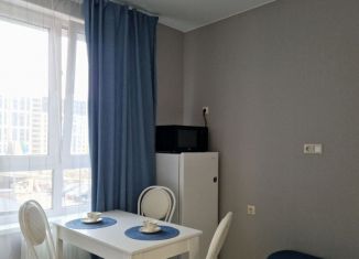 Сдается квартира студия, 24 м2, Москва, проспект Куприна, 30к1