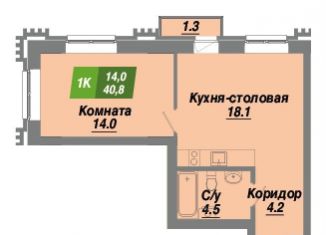 Продам 1-комнатную квартиру, 40.8 м2, Новосибирск