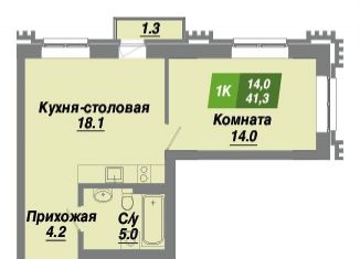 1-комнатная квартира на продажу, 41.3 м2, Новосибирск, метро Заельцовская