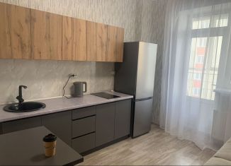 Сдам в аренду 1-ком. квартиру, 40 м2, Красноярск, Караульная улица, 39Б