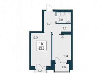 Продам 1-комнатную квартиру, 43.7 м2, Новосибирск, Центральный район, Красный проспект, 3