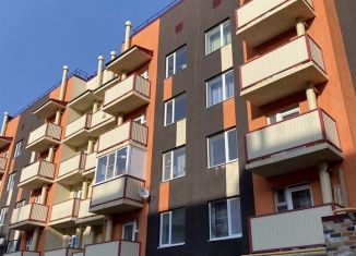 Продам однокомнатную квартиру, 33 м2, Михайловск, улица Ишкова, 103/1