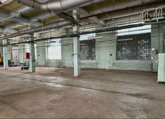 Сдаю в аренду производство, 200 м2, Новгородская область, Великая улица, 22с10