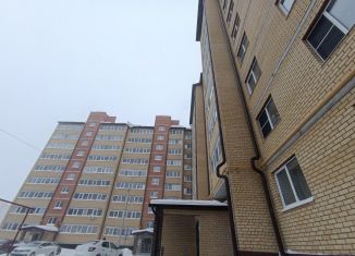 1-ком. квартира на продажу, 48 м2, село Семёновка, Молодёжная улица, 22