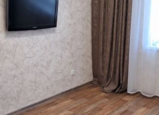 Сдается 1-ком. квартира, 30 м2, Кстово, улица Космонавтов, 7