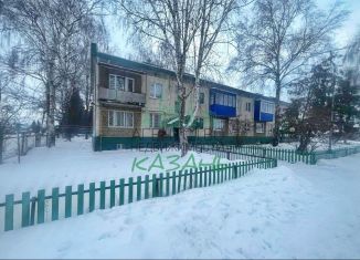 Продажа однокомнатной квартиры, 32 м2, Татарстан, Центральная улица, 1