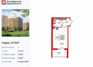 Продажа квартиры студии, 25.1 м2, Санкт-Петербург, метро Озерки