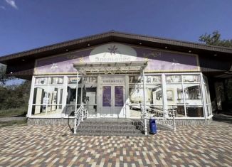 Продам помещение свободного назначения, 386.4 м2, Нефтекумск, улица 50 лет Пионерии, 2А