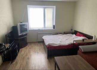 Продажа 1-ком. квартиры, 42 м2, Кузнецк, Загородная улица, 35